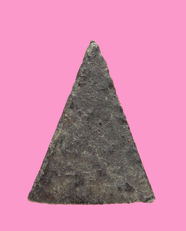 นางพญา เนื้อคล้ายผงคลุกรัก