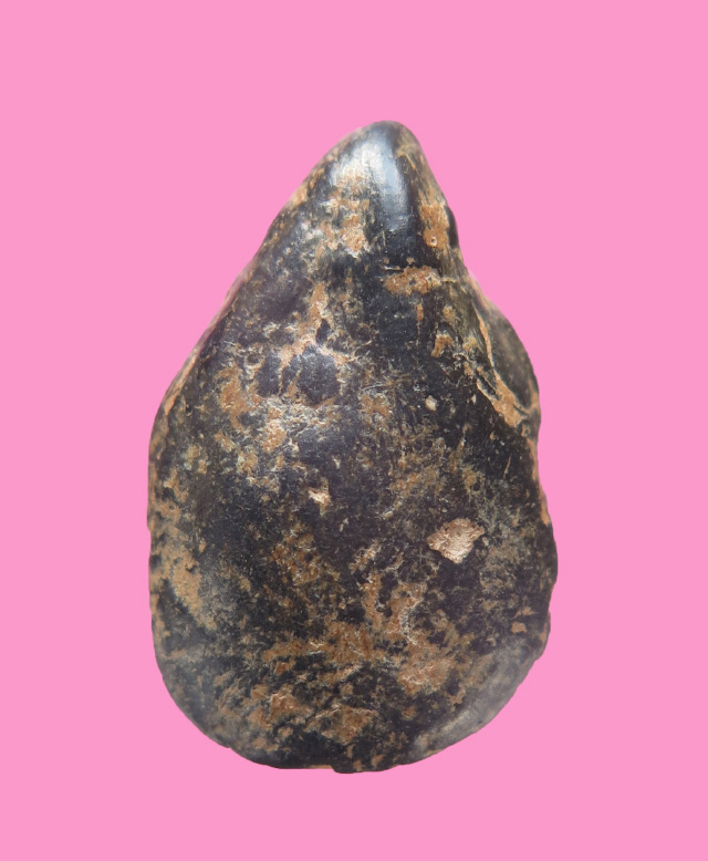 นางพญาพิมพ์เม็ดแตง