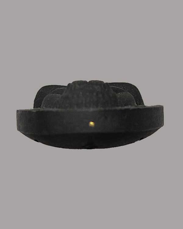 พระปิดตา หลวงพ่อแพ วัดพิกุลทอง จ.สิงห์บุรี ตะกรุดทองคำ 