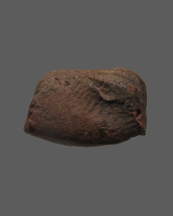 พระรอดแสงตา กรุแท่นแก้ว วัดมหาวัน จ.ลำพูน