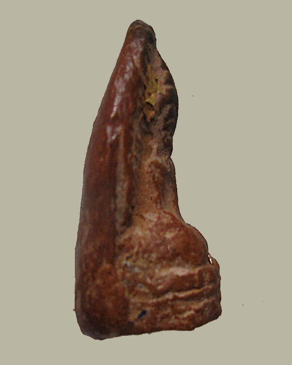 พระรอด หลวงพ่อกวย เนื้อดิน วัดโฆสิตาราม จ.ชัยนาท