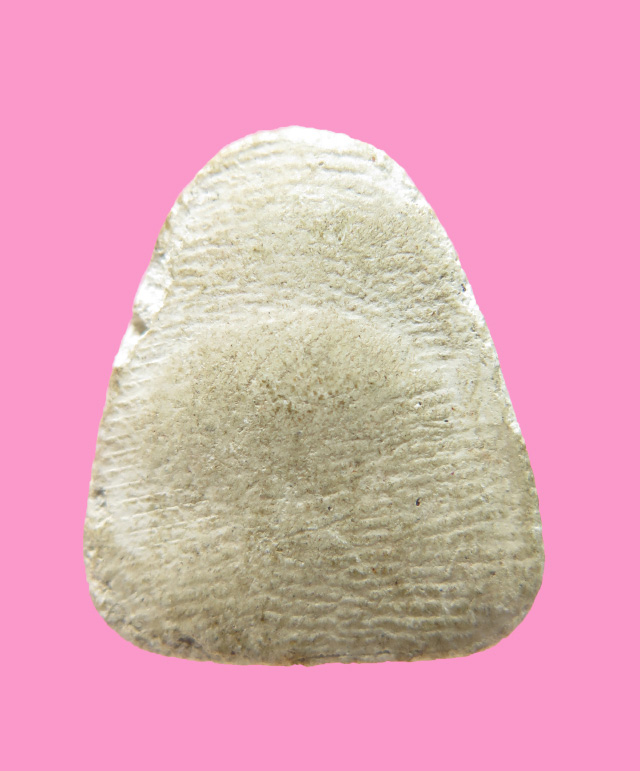 พระปิดตา หลวงปู่เกลี้ยง วัดเนินฯ