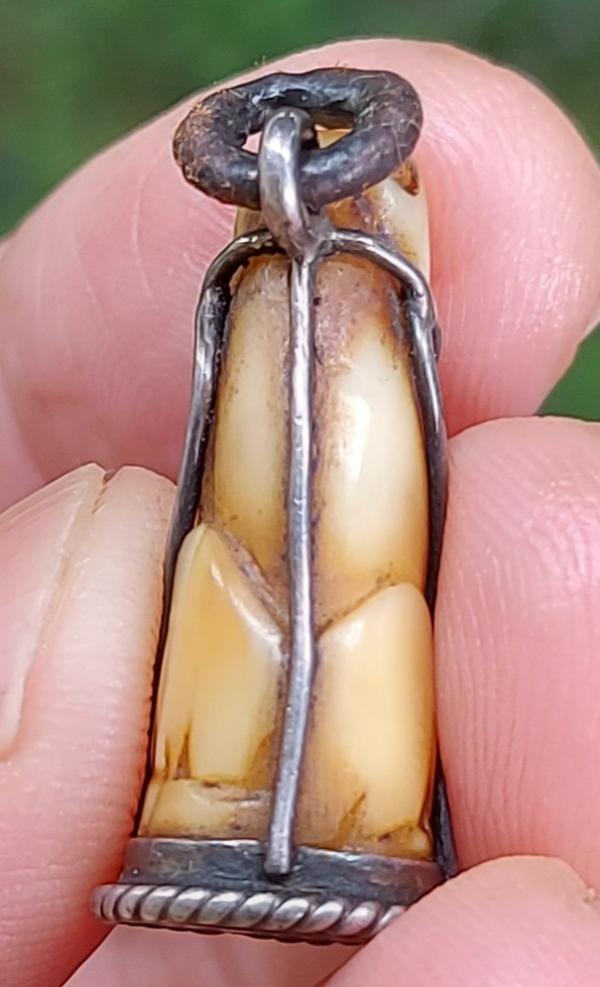 เขี้ยวเสือแกะ เลี่ยมซุ้มเงิน