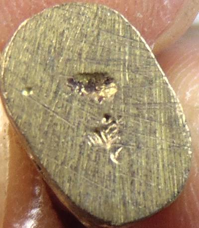 ๒๐ เสือจิ๋วโลหะหลวงพ่อเพี้ยน