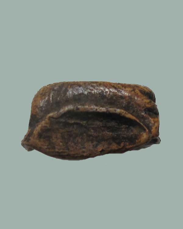 พระบาง ลำพูน 