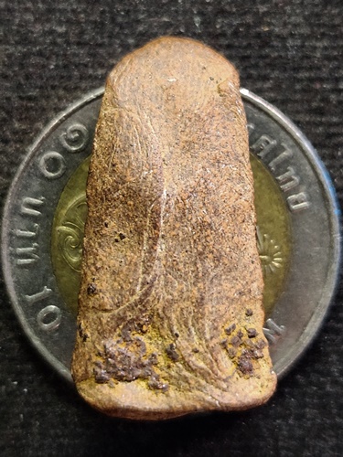 วัดอุโมงค์ ลำพูน พระรอด เนื้อดินเผา 