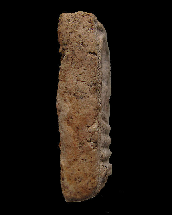 พระสมเด็จคะแนน หลวงพ่อชาญณรงค์ อภิชิโต วัดเงินบางพรหม กทม.รุ่นสุดท้าย ปี ๒๕๒๙ 