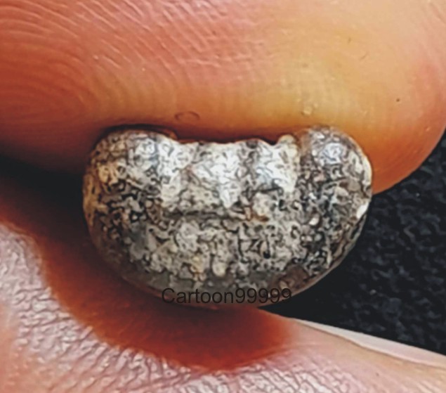 พระปิดตา หลวงพ่อเดิม วัดหนองโพธิ์ นครสวรรค์ครับ หล่อหน้าเดียว หายากครับ เก่าเก็บ สภาพสวยครับ