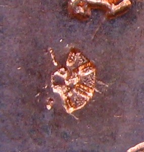 เหรียญโต๊ะหมู่บูชา หลวงปู่นาม วัดน้อยชมภู่ จ สุพรรณบุรี ปี2553 รุ่นสร้างมณฑป เนื้อทองแดง ตอกโค๊ต