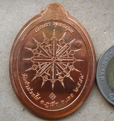 เหรียญหลวงปู่ขันตี วัดม่วงไข่ จ.เลย ปี2559เลข843 รุ่นพุทธคุณ เนื้อทองแดงผิวไฟ ไม่ตัดปีก แจกทาน