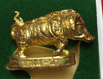 หมูมหามงคลคูณทอง หลวงพ่อคูณ วัดบ้านไร่ ปี2553 เนื้อทองทิพย์ ใต้ฐานอุดผงจีวรเกศา+ตะกรุด เลข3834+กล่อง