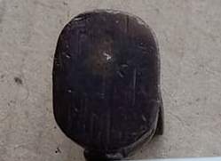 เสือหลวงพ่อจำเนียร วัดถ้ำเสือ จ.กระบี่  เดช อำนาจ วาสนา