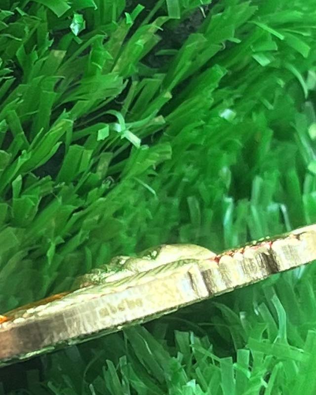 หลวงพ่อพัฒน์ วัดห้วยด้วน นครสวรรค์ รุ่นพยัคฆ์แสนล้าน เนื้อทองทิพย์ ลงยา3สี หมายเลข 36821 พร้อมกล่อง