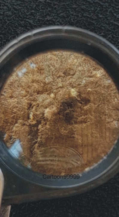 ลูกอมผงพราย ๕๙ ตน อาจารย์เปล่ง บุญยืน ฆราวาสเรืองเวทย์แห่ง จ.สุรินทร์ครับ