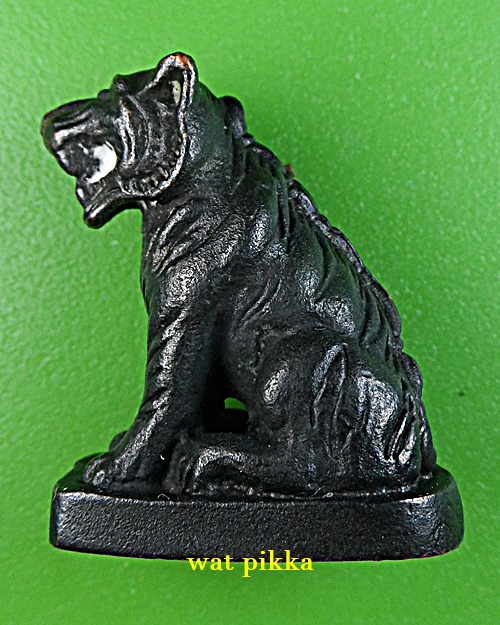 เสือหลวงพ่อสวน วัดศิวโมกว์ เพชรบุรี .B830.