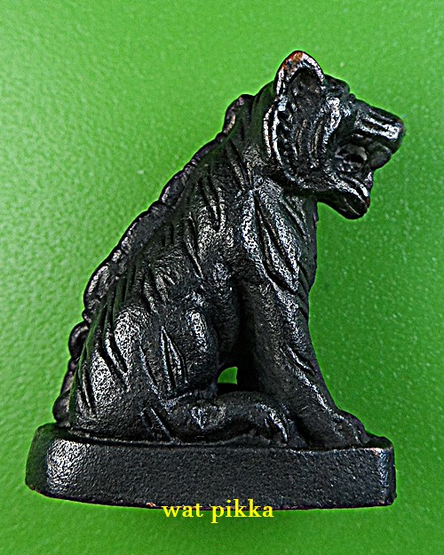 เสือหลวงพ่อสวน วัดศิวโมกว์ เพชรบุรี .B830.