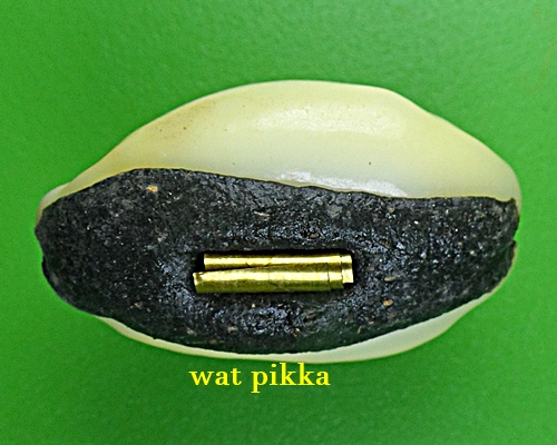 เบี้ยมหาโภคทรัพย์ฝังตะกรุดหัวใจเศรษฐี หลวงปู่สิงห์ วัดบ้านขี้เหล็ก ศรีสะเกษ .B832.