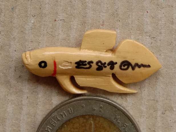 ปลากัดเรียกโชค เรียกลาภ หลวงพ่อน่วม วัดโพธิ์ศรีเจริญ จ.สุพรรณบุรี "เนื้อไม้วาสนา" นิยม