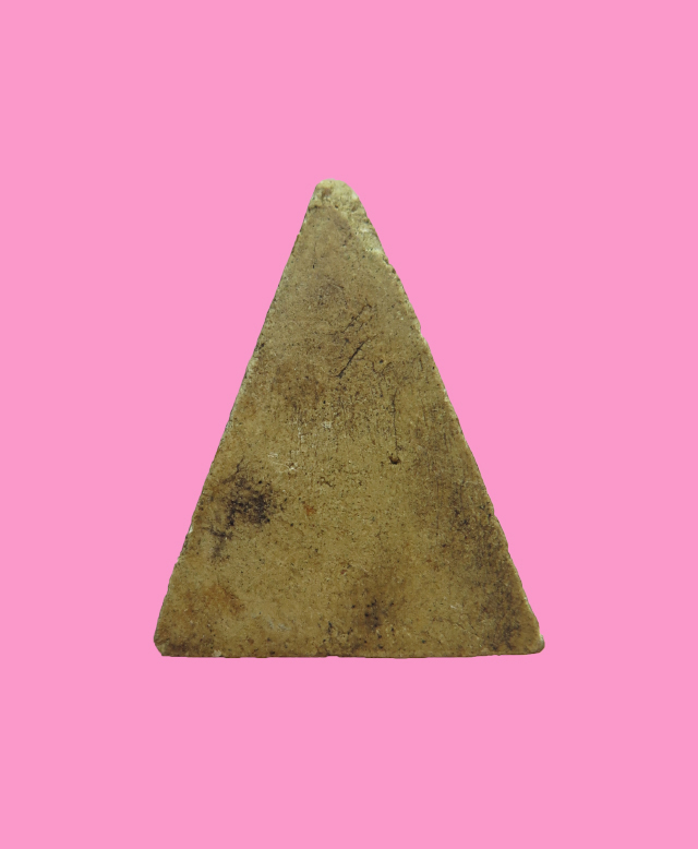 นางพญา แขนหักศอก