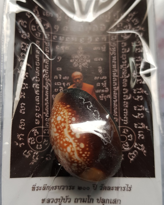 เบี้ยแก้ อุดผงพรายกุมารคลุกรักชันโรงพร้อมกระดาษยันต์ ปี 54 หลวงปู่บัว หลวงปู่คำบุ ปลุกเสก # เลข 8180