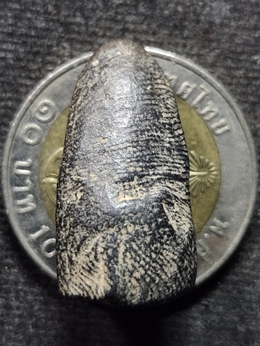 วัดโฆสิตาราม ชัยนาท พระรอด​ หลวงพ่อกวย​ 2515 เนื้อดิน​ ออก วัดหนองอีดุก​ จ.ชัยนาท 