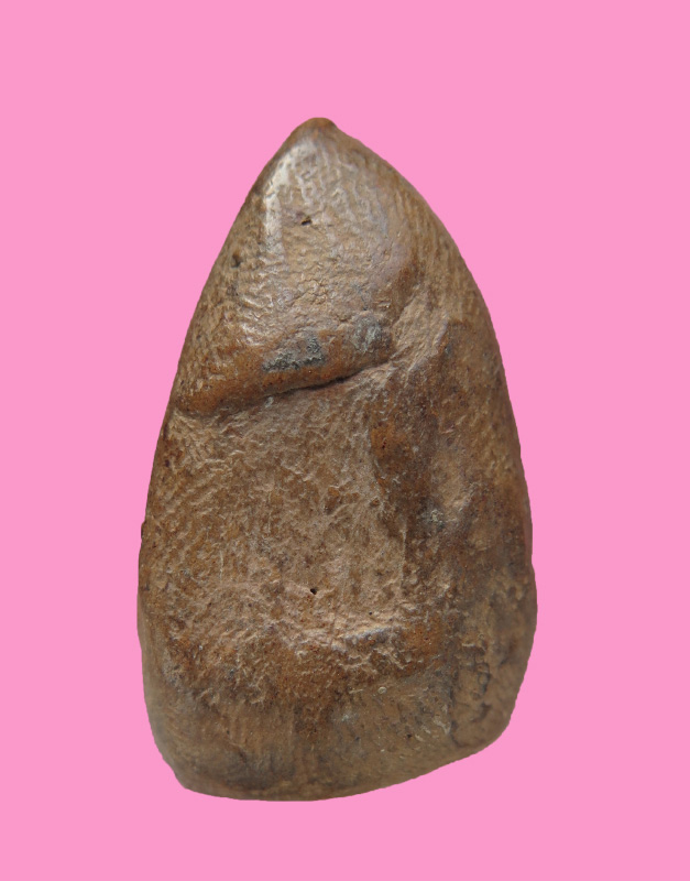 พระพิมพ์ซุ้มชินราช เนื้อดิน