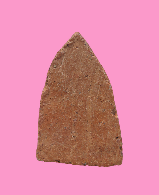 นางพญา เนื้อดิน 