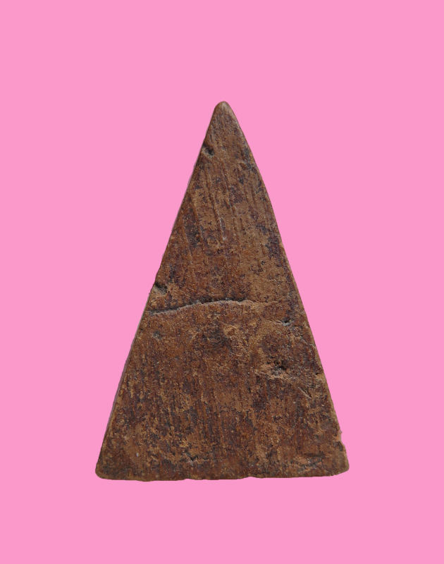 นางพญาเนื้อดิน