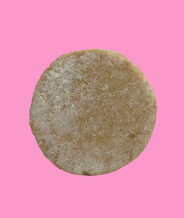 พระสังกัจจายน์ ซุ้มเถาวัลย์ หลวงพ่อกวย