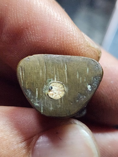  วัดสระเปรียญ จังหวัดชัยนาท  พระรูปหล่อโบราณ หลวงปู่เย็น ฐานโต อุดผง