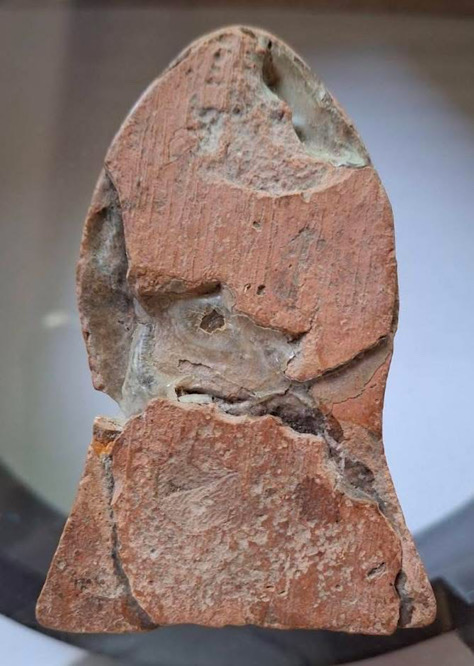 พระโคนสมอ พิมพ์นาคปรก กรุวังหน้า จ.พระนครศรีอยุธยา เนื้อดินเผา หักซ่อมหลายชิ้น