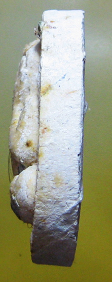 หลวงปู่โส กัสสโป วัดป่าคำแคนเหนือ อ.มัญจาคีรี จ.ขอนแก่น