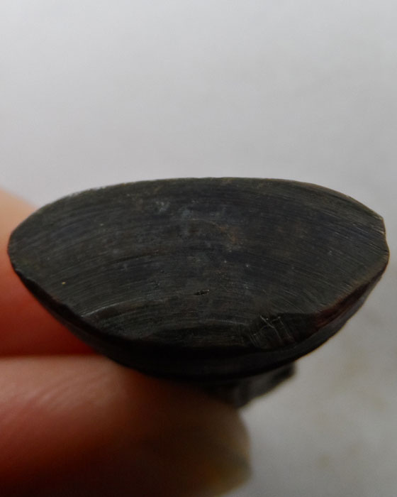 พระกริ่งพุทธมงคลนิมิตร วัดบ้านตอ จ.แพร่ รุ่นแรก ปี๒๕๐๘