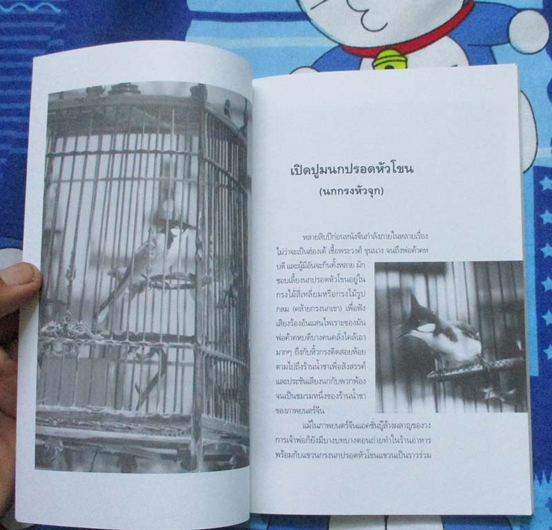  	 หนังสือ สีสันและลีลานกปรอดหัวโขน