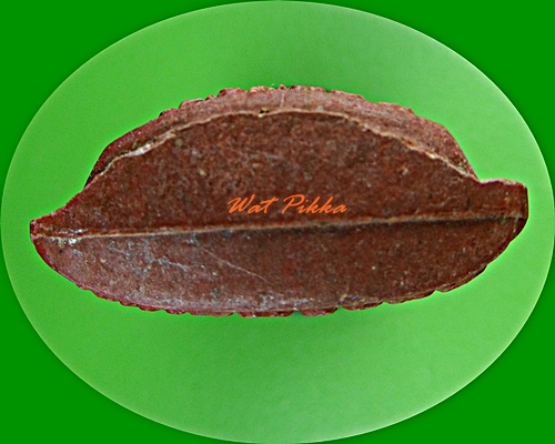 พระผงหลวงพ่อเลิศ วัดชุมพล อยุธยา .D117.