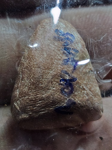 วัดโฆสิตาราม ชัยนาท พระสังกัจจาย หลวงพ่อกวย ชุตินฺธโร ออกวัดหนองอีดุกน์ เนื้อดินเผา 