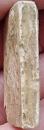 *พระผงมฤคทายวัน ปี๒๔๖๖ ปางป่าเลไลยก์ หลังยันต์ตรีนิสิงเห หลวงปู่นาค วัดหัวหิน ปลุกเสก*