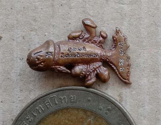 ปลาปลัด 9 หัว พระอาจารย์หนุ่ม วัดบางแวก พิธีไหว้ครู ปี2554 สร้างบูชาคุณ หลวงตาเผือด วัดมะกอก