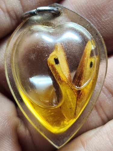 วัดซุ้มกระต่าย (หนองหม้อแกง) ชัยนาท สาริกาแช่น้ำมัน หลวงพ่อเอิบ 