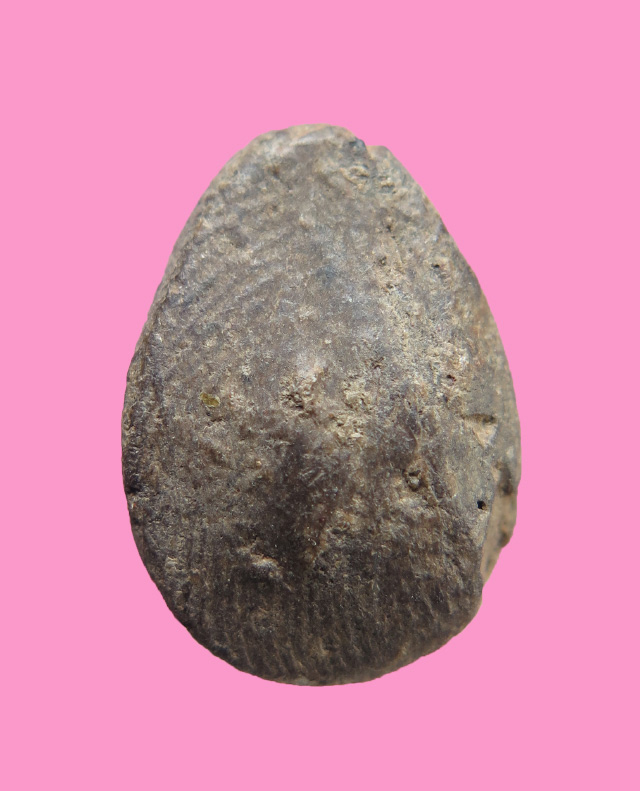 พระพิมพ์ตุ๊กตาเล็ก กรุวัดบางบำหรุ หลวงปู่แขกจัดสร้าง (อาจารย์หลวงปู่รอด วัดนายโรง) องค์ที่ 4