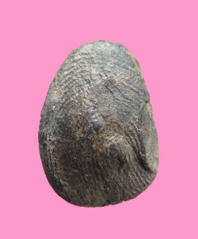 พระพิมพ์ตุ๊กตาเล็ก กรุวัดบางบำหรุ หลวงปู่แขกจัดสร้าง (อาจารย์หลวงปู่รอด วัดนายโรง) องค์ที่3