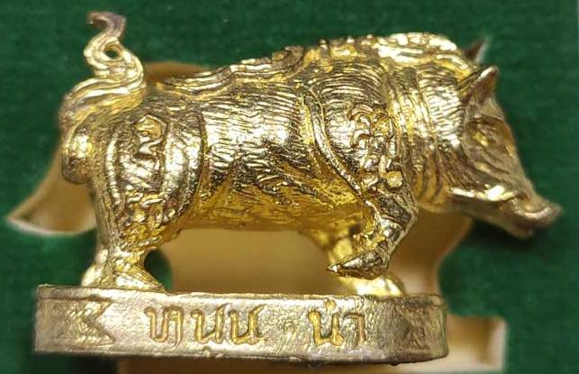 หมูมหามงคลคูณทอง หลวงพ่อคูณ วัดบ้านไร่ ปี2553 เนื้อทองทิพย์ ใต้ฐานอุดผงจีวรเกศา+ตะกรุด เลข781+กล่อง