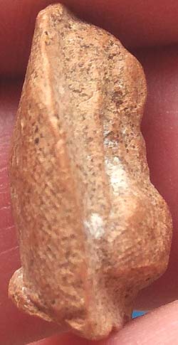 *พระกำแพงเม็ดน้อยหน่า กรุวัดพระแก้ว กำแพงเพชร องค์ปีกกว้าง(4)*