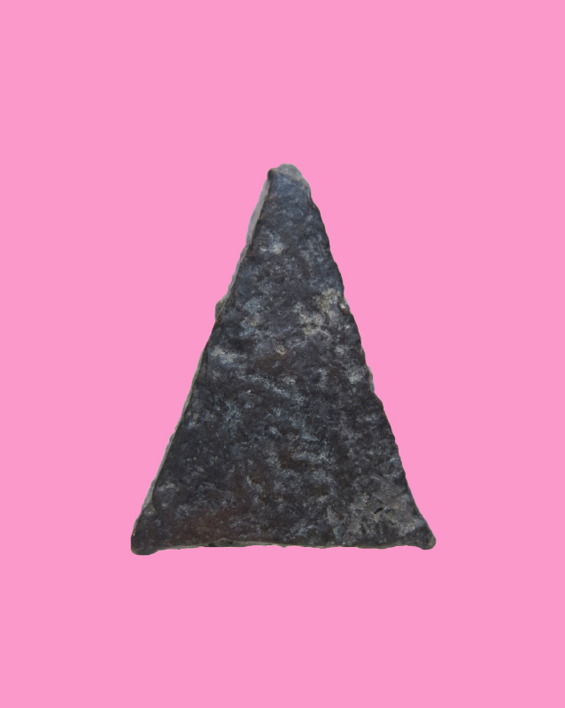 นางพญา เล็ก เนื้อดินดำ