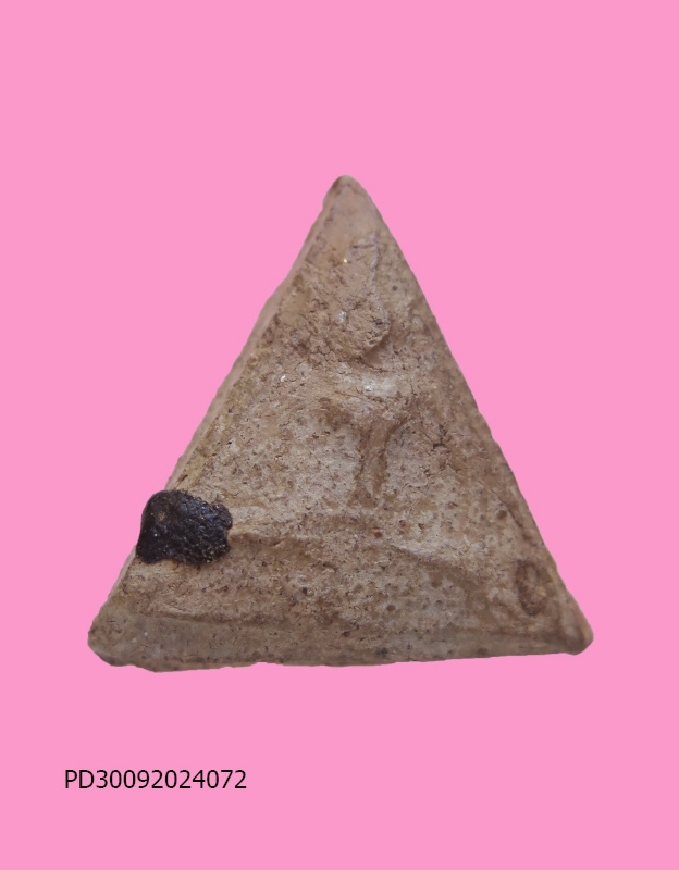 นางพญาพระครูลืม วัดอรุณ