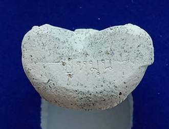 ปิดตารวยทันใจ ย้อนยุค เนื้อขาวพุทธคุณโรย ตะใบ รุ่น"หมุนเงิน หมุนทอง รวยล้นฟ้า"(ออกวัดบ้านจาน) ปี2561