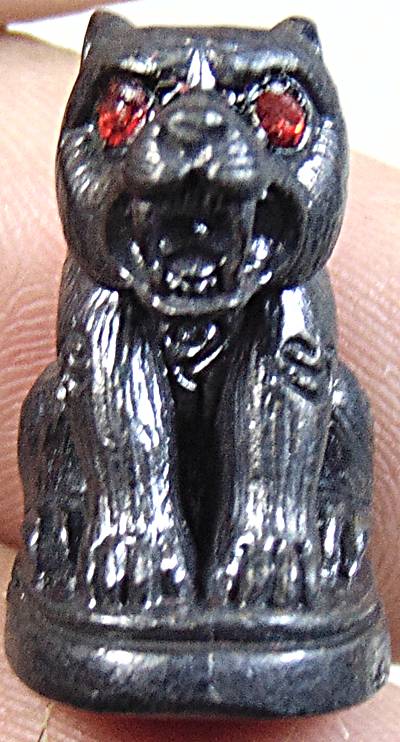 เสือโลหะ อุดหนังเสือ