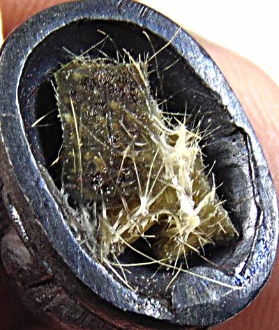 เสือโลหะ อุดหนังเสือ