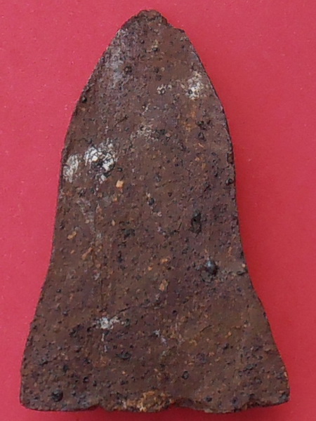 พระโคนสมอ