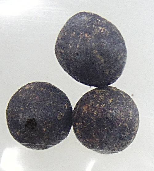 ยาวาสนา จินดามณี หลวงพ่อคง วัดกลางบางแก้ว นครปฐม